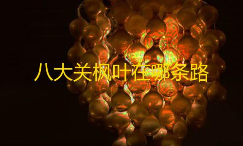 暗区突围黑科技透视工具软件介绍八大关枫叶在哪条路